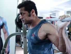 DIPLOMA IN BODY BUILDING Online Course, Certificate in Strength Training and Bodybuilding