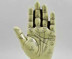 Online Course Diploma in Palmistry
