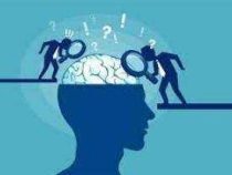 Diploma in Counselling Psychology Skills online course