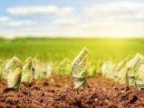 Online Course Professional Training in Agri-Business Operations