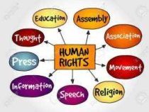Online Course Advanced Diploma in Human Rights