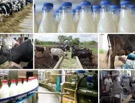 Online Course Diploma in Milk Processing Business