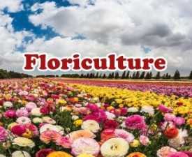 Floriculture Course, online course Professional Certificate in Floriculture