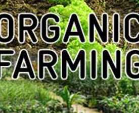 online course organic farming