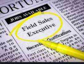 Diploma in field Sales Executive Course