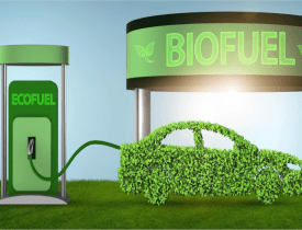 Online Course Diploma in Bio-CNG (Green Fuel)