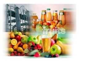 Online Course Certificate in Fruit Juice Extraction Plant