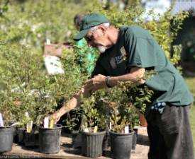 Online Course Certificate in Gardener
