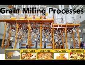 Online course Certificate in Grain Milling & Processing