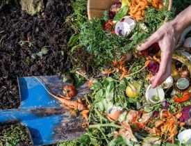 Online Course Diploma in Organic Waste Management
