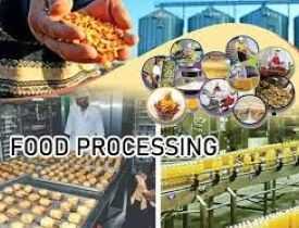 Diploma in Food Processing, Online Course Certificate in Food Processing and Management