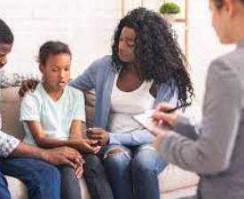 Online Course Diploma In Social Work and Family Counseling