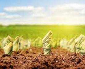 Online Course Professional Training in Agri-Business Operations