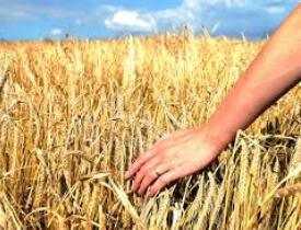 Online Course Certificate in Rural Management